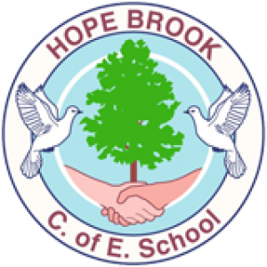 Hope Brook CE Primary School